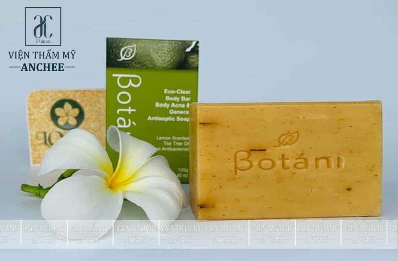 Xà phòng trị mụn lưng Eco-Clean Body Bar Body Acne $ General Antiseptic Soap Botani