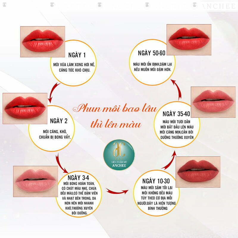 Quy trình lên màu sau khi phun môi bạn nên biết  Bangmausonvn